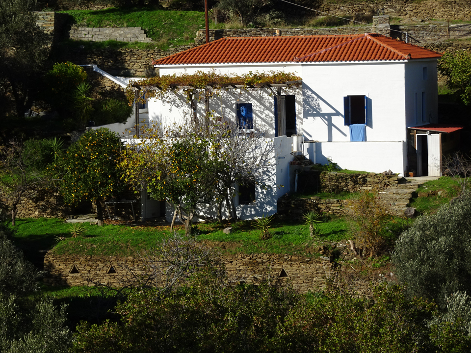 Les Maisons de Claire à Andros dans les Cyclades - La Maison du BERGER situé sous la Maison de Claire
